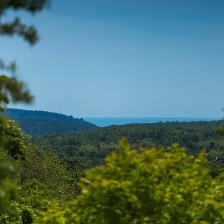 Semesterbostad Lucas